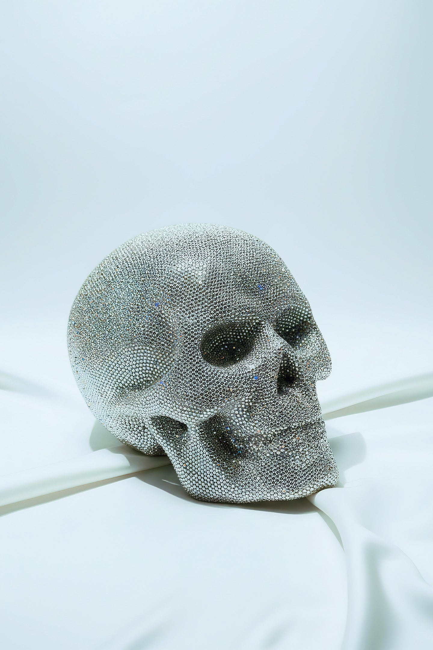 1 of 1 Silver | XXL Shining Skull